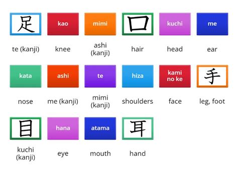 月へんの漢字 体の部位 ～月の光が照らす体の神秘～